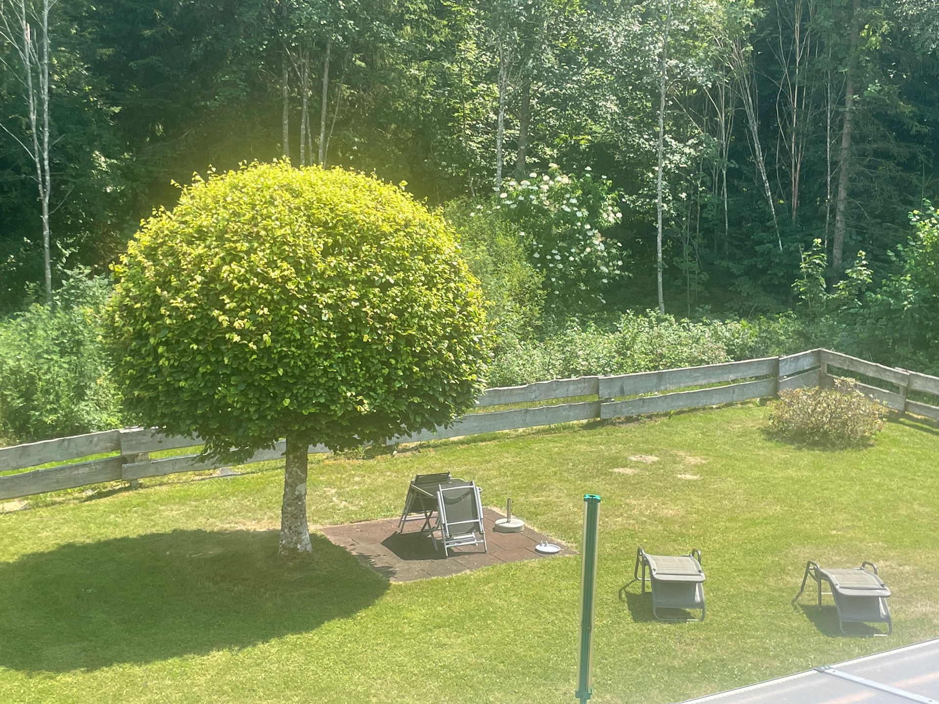 isele-ferienwohnung-blick-auf-den-garten